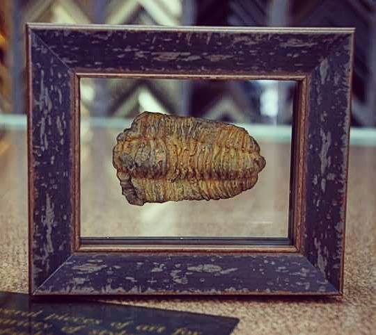 Blue Ridge Framing Company, Blue Ridge, Mineral Bluff, Morganton, McCaysville, Georgia, Picture Framing, Custom Picture Framing, Natalie Kissel, Lauren Garner, Shadowbox, Needlework, Cro